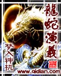 龍蛇縯義小说封面